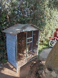 Pappagalli inseparabili + gabbia