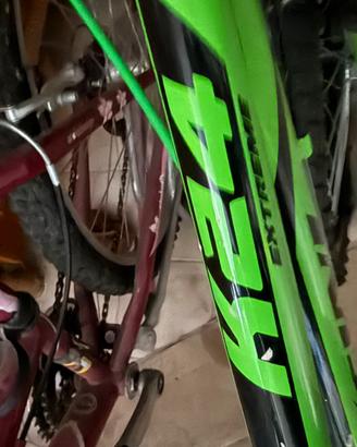 Bicicletta
