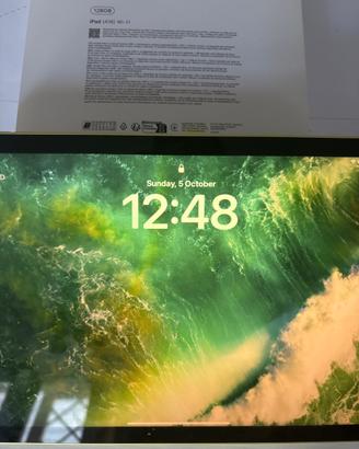 IPAD 11"