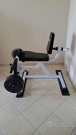 macchina da pesi per gambe leg extension + leg cur