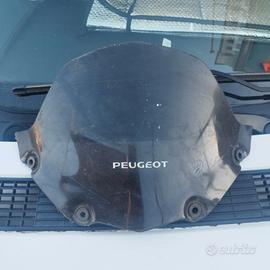 cupolino Peugeot