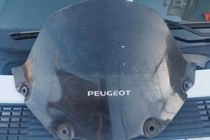 cupolino Peugeot