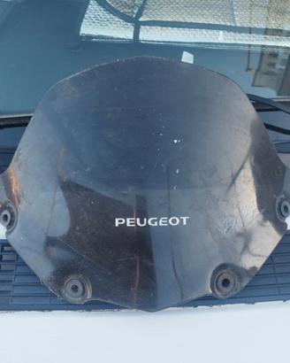 cupolino Peugeot