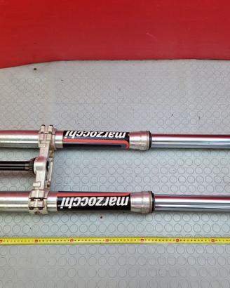 STELI FORCELLA APRILIA RXV 550 2008 2009 SXV 2010