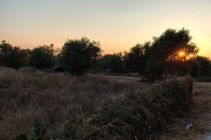 Terreno Brucoli Augusta