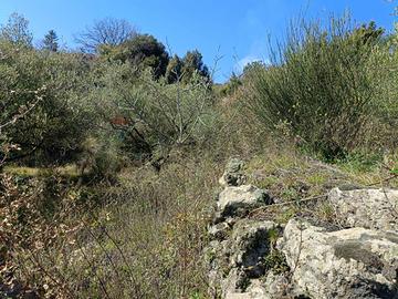 Terreno - Mascali