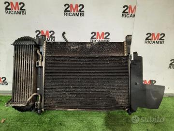 KIT RADIATORI RENAULT Kangoo 3Â° Serie diesel 1461