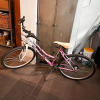 Bicicletta - donna/ragazza