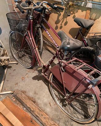 Bici olandesina donna