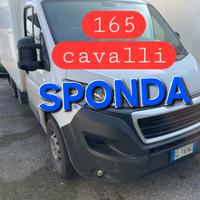 PEUGEOT BOXER 2.2 165cv FURG SPONDA 2023