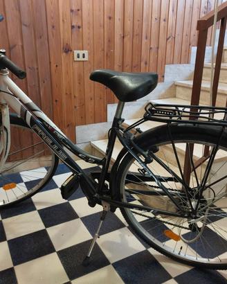 Bicicletta Frejus 28