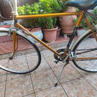 bici uomo