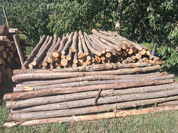 Pali in Legno di castagno
