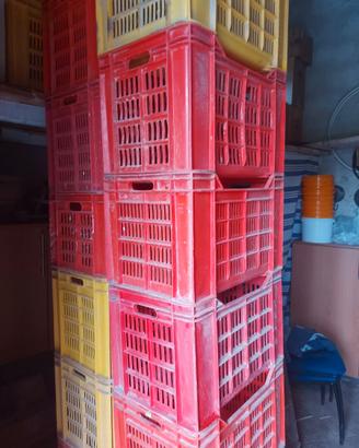 30 Cassette in plastica per agricoltura