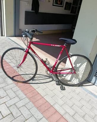 Bici da corsa