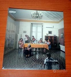 Vinile Tutto è Possibile 
