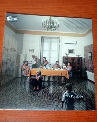 Vinile Tutto è Possibile 