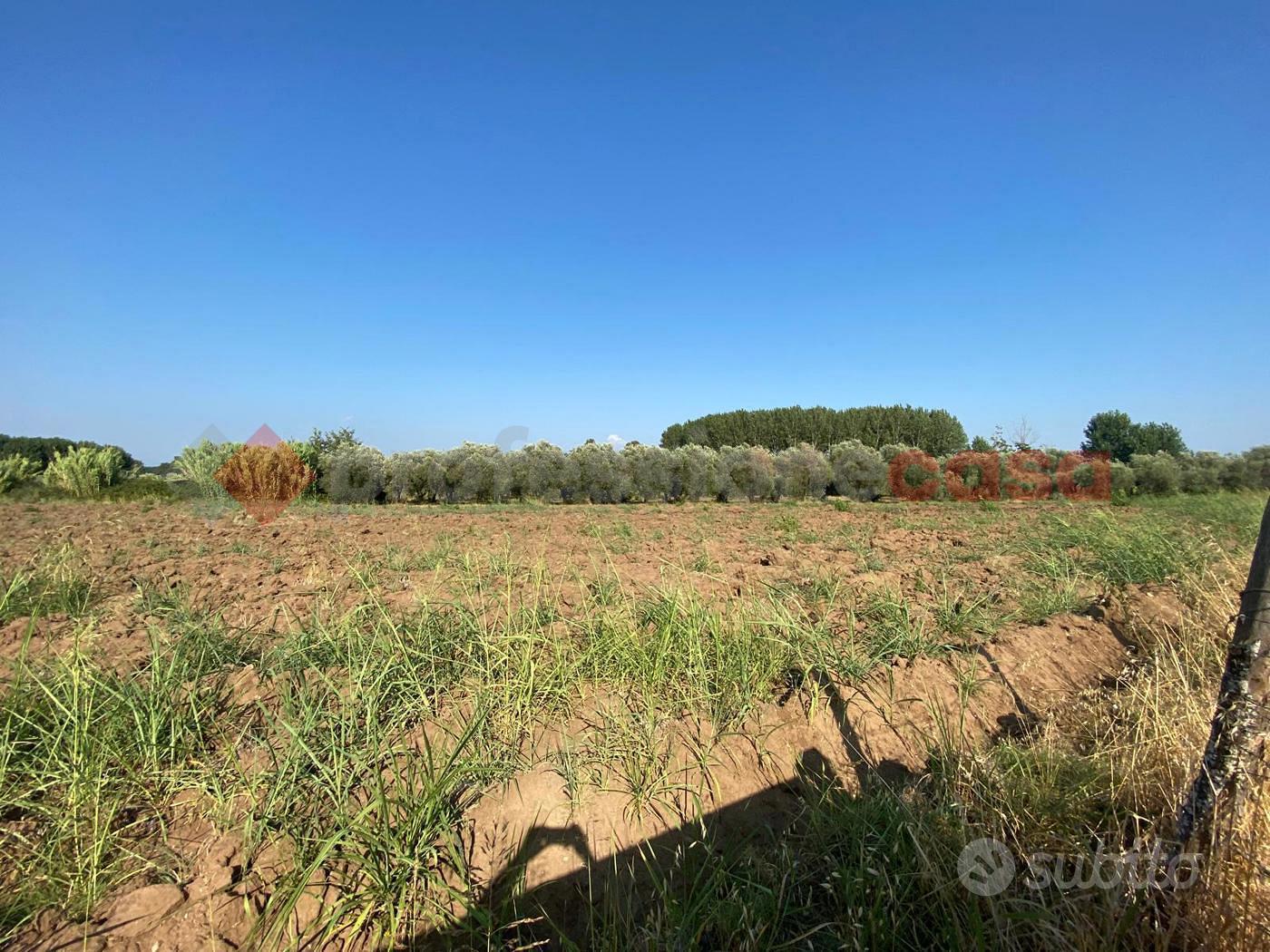 Terreno Agricolo Falciano del Massico - Vista 3