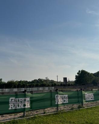 Gestione Maneggio sul Lago di Garda