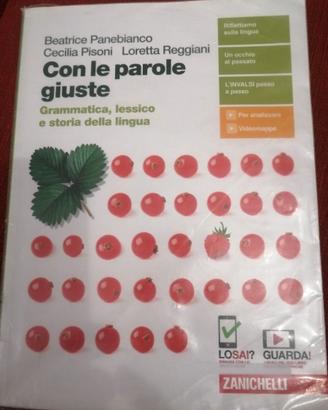 Libro Con le parole Giuste