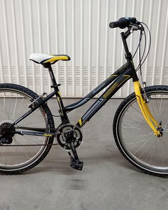 Bicicletta MTB da bambina/ragazza