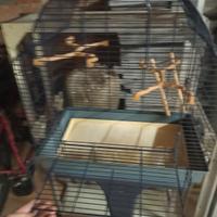 gabbia uccellini con piedistallo 