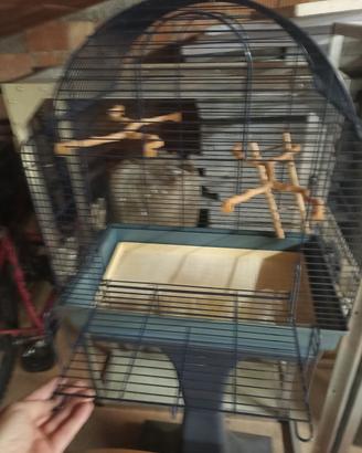 gabbia uccellini con piedistallo 