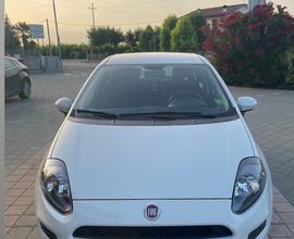 Fiat punto ok neopatentati