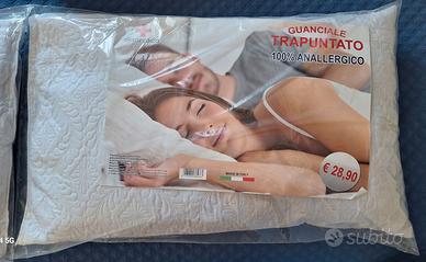 2 GUANCIALI ANTIALLERGICI