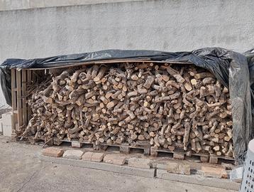 Legna da ardere di Ulivo