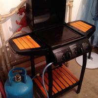 Barbecue a Gas con coperchio 