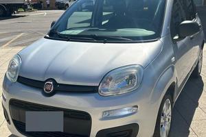 Fiat Panda 1.3 MJT - Unico Proprietario