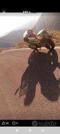 riviste auto moto