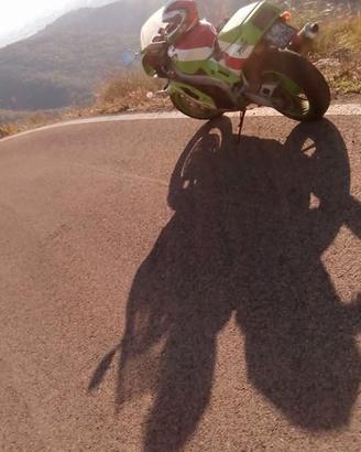 riviste auto moto