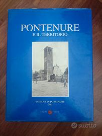 comune di Pontenure 
