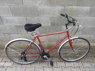 Bicicletta vintage da strada