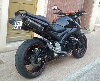 Special Carbon Roadsitalia Suzuki GSR 600