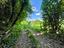 Immagine 16