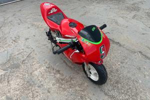 Minimoto 2T Uso Pista