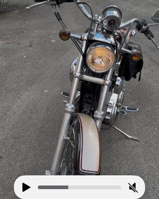 Harley davidson