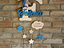 Immagine 1