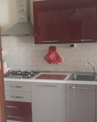 Cucina completamente di elettrodomestici