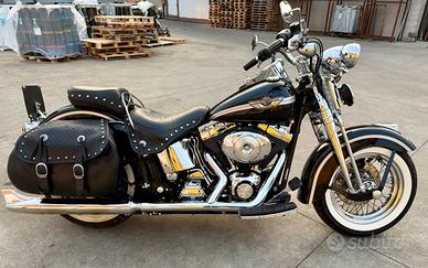 Heritage Springer 100th