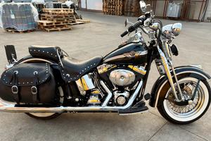 Heritage Springer 100th