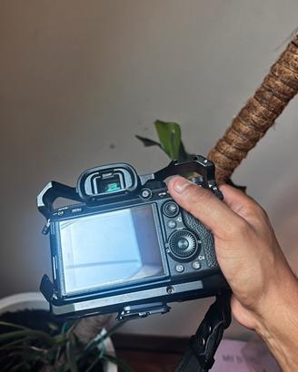 Sony A7 III + Sony FE 90mm f/2.8 Macro G OSS
