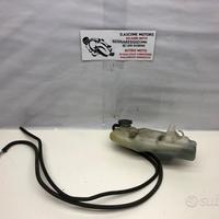 Vaschetta acqua Hornet 900 03 06