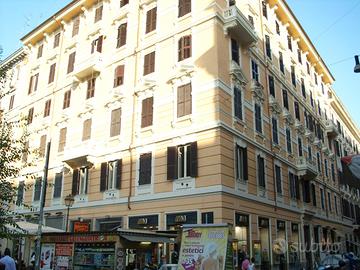 CANTINA in ROMA Centro - zona Prati