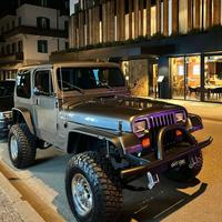 Jeep Wrangler YJ 4.0 Benzina - 1994 - Impeccabile