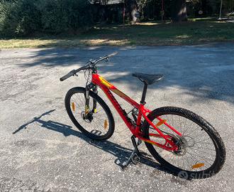 Bicicletta specializer