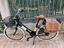 Immagine 1